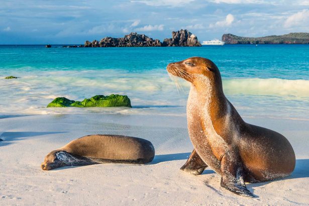Best Islands in Mexico in Central in & South America
