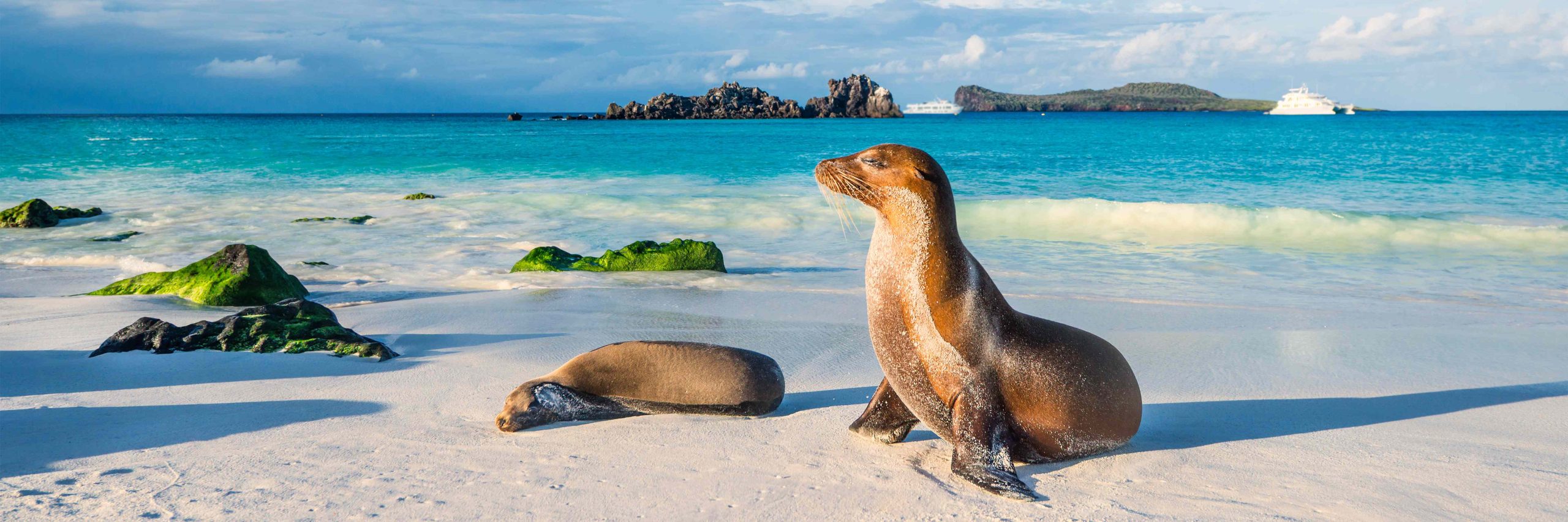 Best Islands in Mexico in Central in & South America