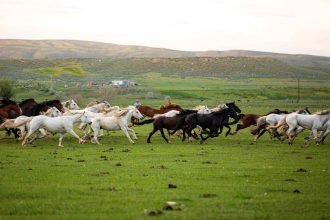 This Mountain Town Is an Affordable Alternative to Jackson Hole—With Rugged Charm, Wild Horses, and a 130-year-old Rodeo