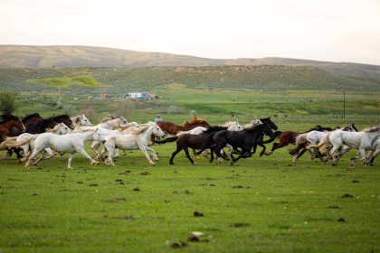 This Mountain Town Is an Affordable Alternative to Jackson Hole—With Rugged Charm, Wild Horses, and a 130-year-old Rodeo
