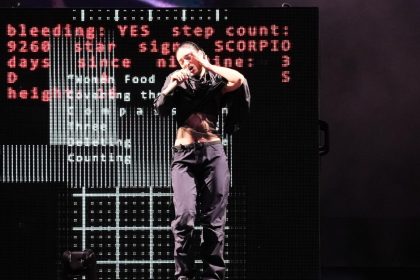 Lorde says Ray-Ban Meta AI glasses are ‘not sexy’