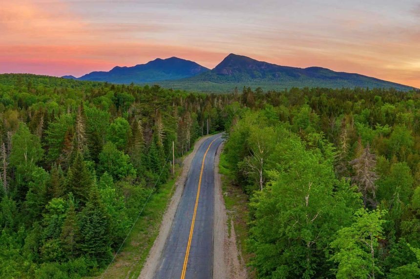 This Is the Most-wooded State in the U.S.—and No, It’s Not Washington or Oregon