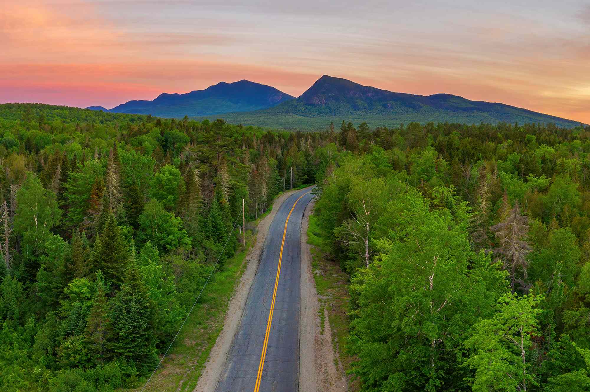 This Is the Most-wooded State in the U.S.—and No, It’s Not Washington or Oregon