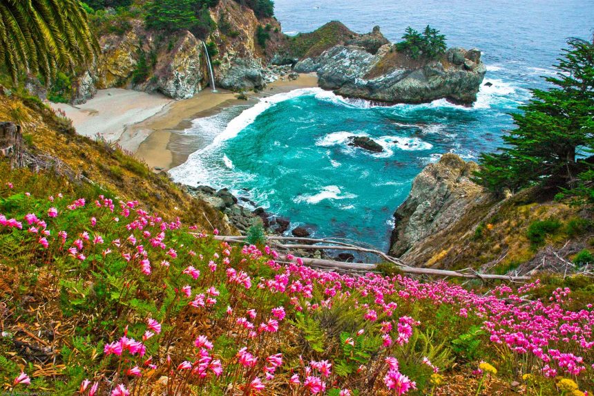 California’s Most Beautiful State Park Has Redwoods, Ocean Views, and a Spectacular 80-foot Waterfall