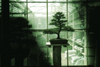 Meet Bonsai: The First 27B AI Model That Fits on Your Phone