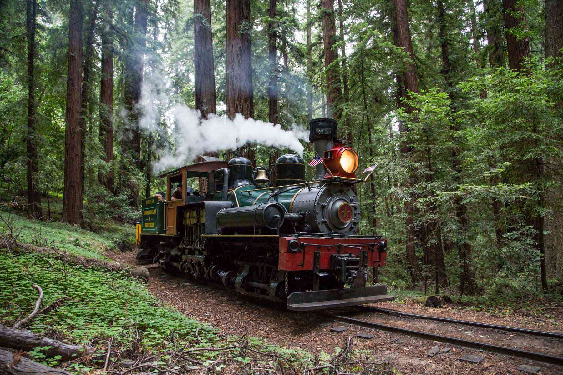 This Scenic California Train Ride Takes You Through Majestic Redwoods to the Pacific Coast