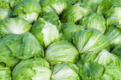 Taylor Farms pulls iceberg lettuce from the US market after cyclosporiasis outbreak