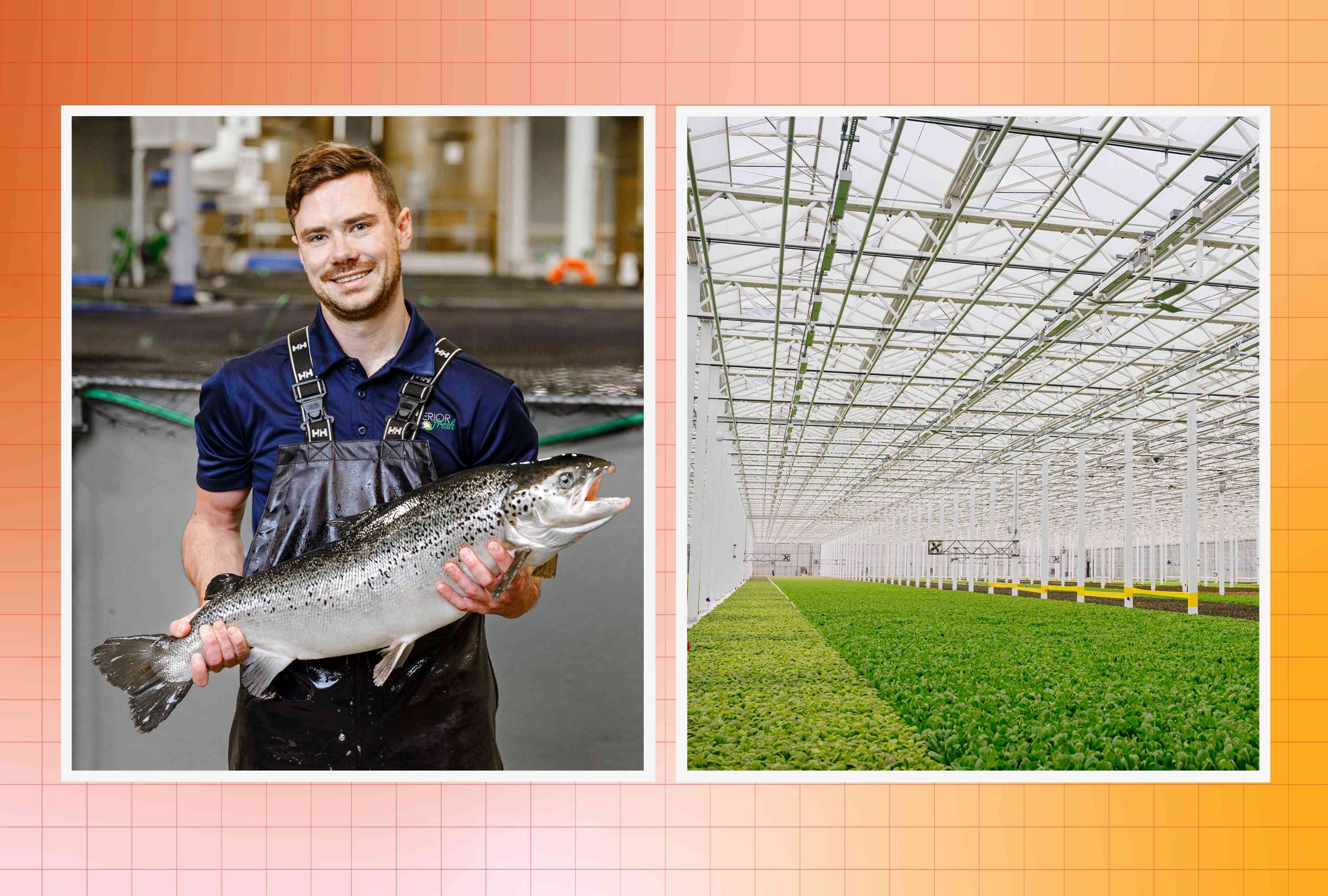Why America’s Favorite Fish Is Being Farmed Indoors