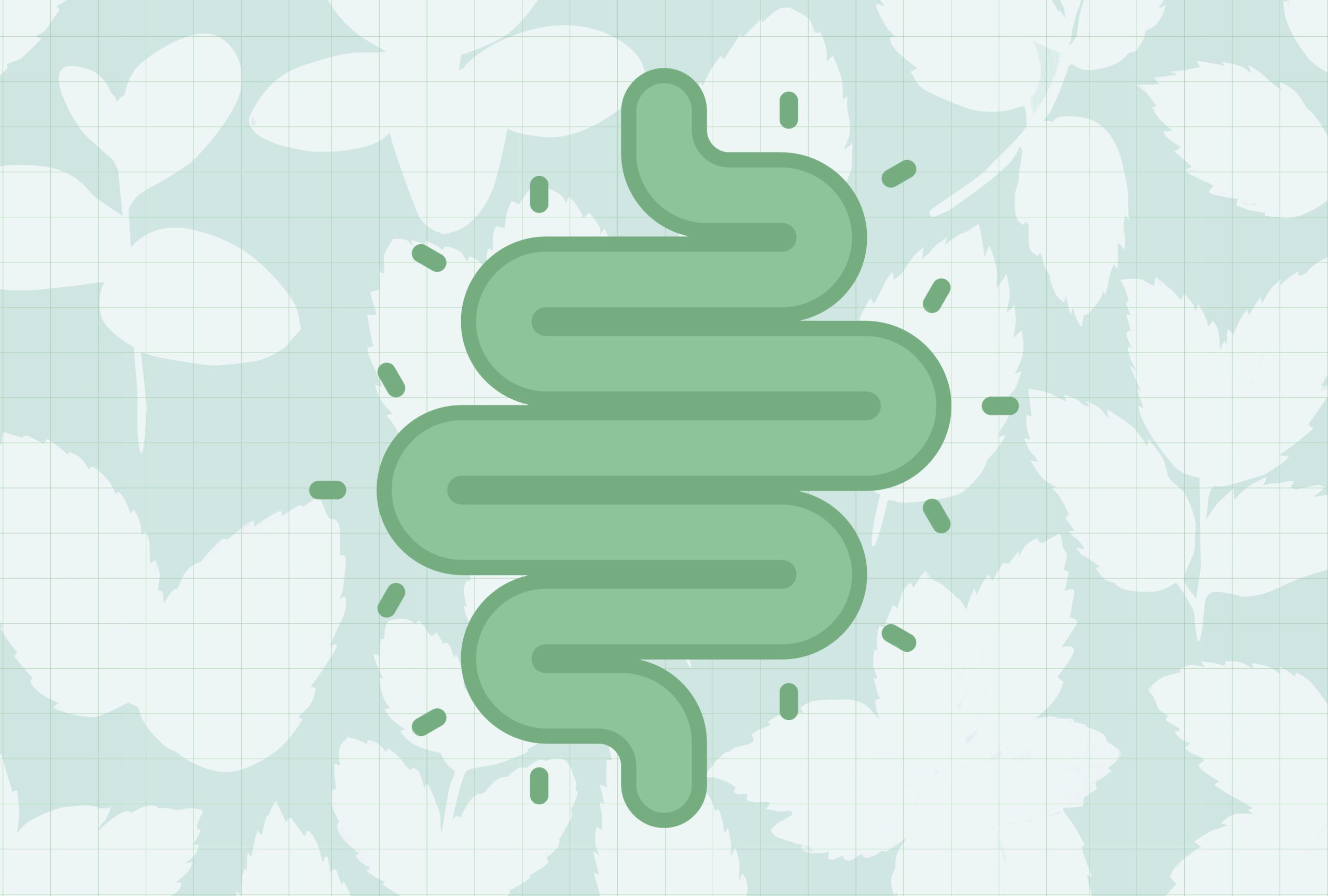 The #1 Herb for Better Gut Health, According to Dietitians