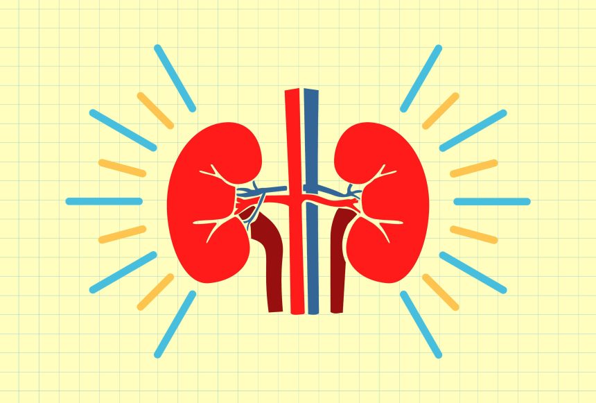 The Nutrient You Should Be Eating More of for Your Kidneys, According to Experts