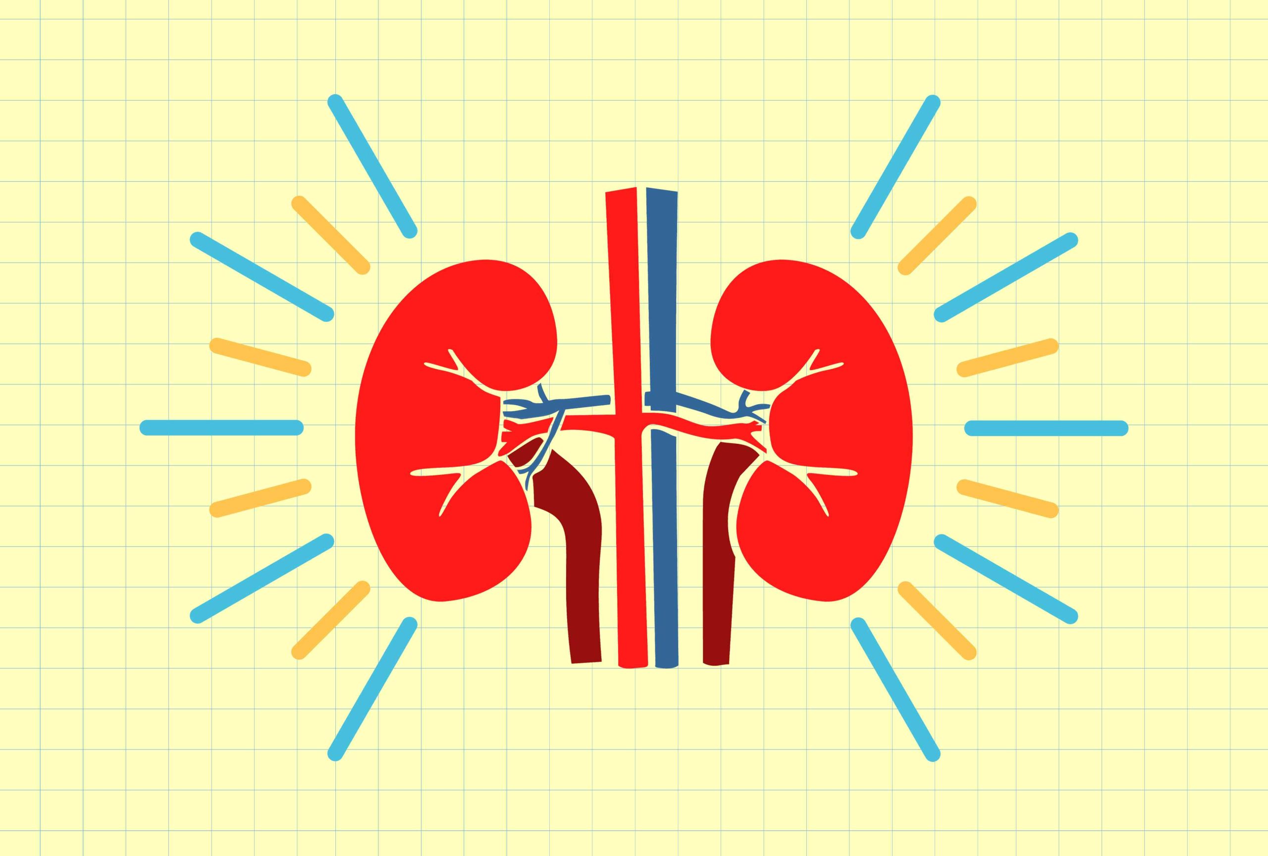 The Nutrient You Should Be Eating More of for Your Kidneys, According to Experts