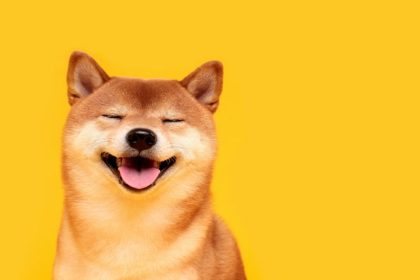 Shiba Inu surges 36% as South Korean traders fuel mystery rally