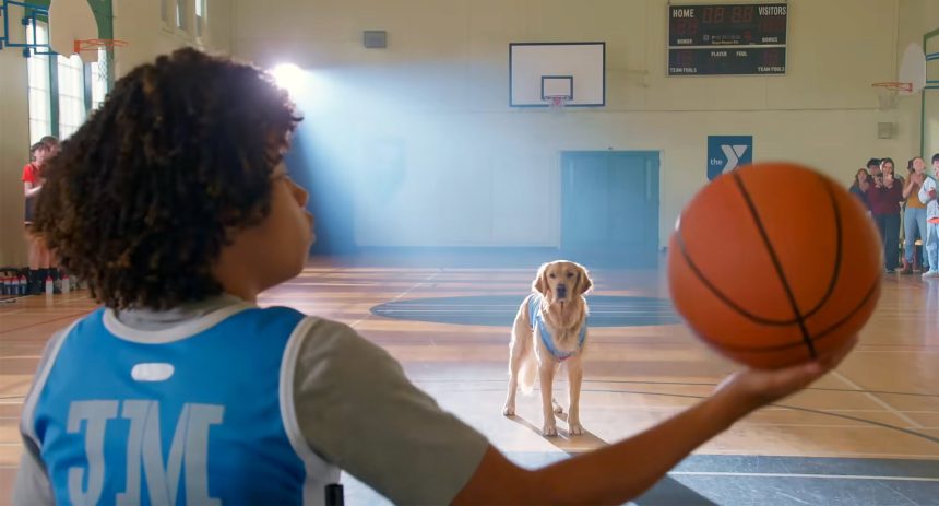 He’s Back! First Teaser for ‘Air Bud Returns’ Basketball Doggo Movie