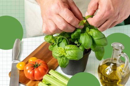 5 Anti-Inflammatory Herbs You Should Be Cooking with More Often, According to Dietitians