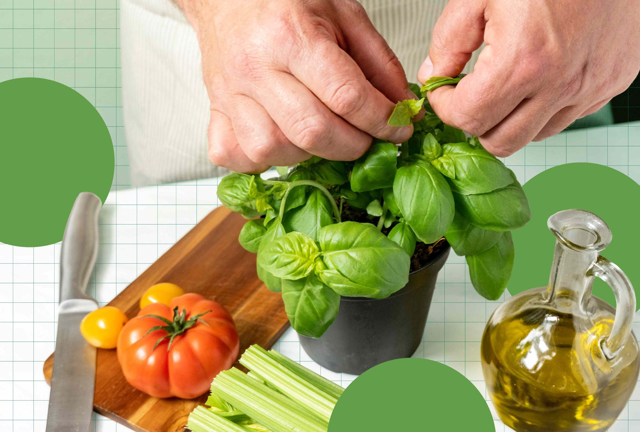 5 Anti-Inflammatory Herbs You Should Be Cooking with More Often, According to Dietitians