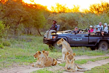 This Safari Lodge Was Just Named No. 1 in Africa—and It Has Luxury Suites, Sunset Gin and Tonics, and Remarkable Wildlife Sightings