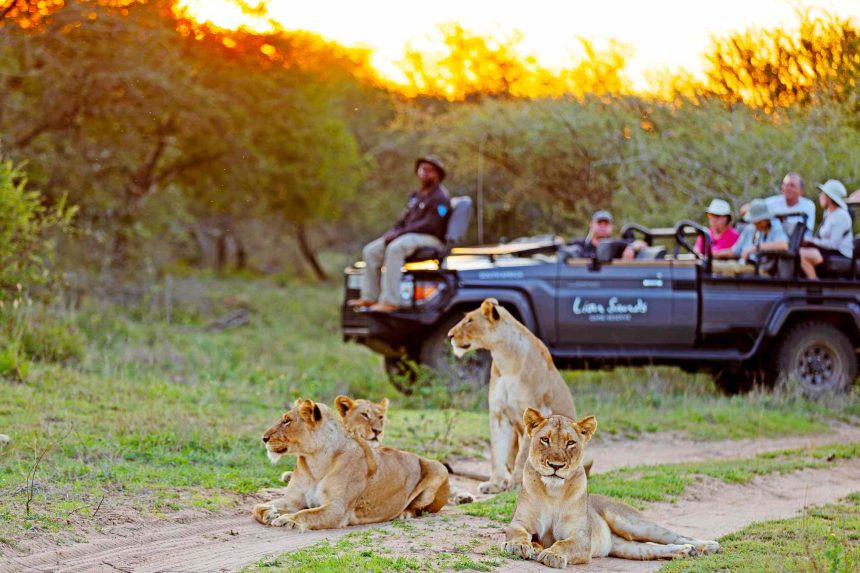 This Safari Lodge Was Just Named No. 1 in Africa—and It Has Luxury Suites, Sunset Gin and Tonics, and Remarkable Wildlife Sightings