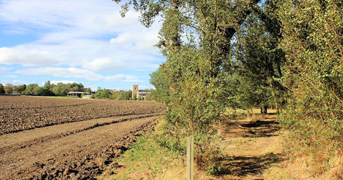 Man hospitalised after stabbing at 400-person illegal rave in Cambridgeshire