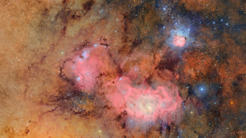 A 10-year sky survey begins filming a ‘cosmic movie,’ cyborg cockroaches go for a dive and more science stories