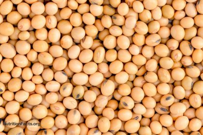 Does Less Protein Increase FGF21 for Longevity?
