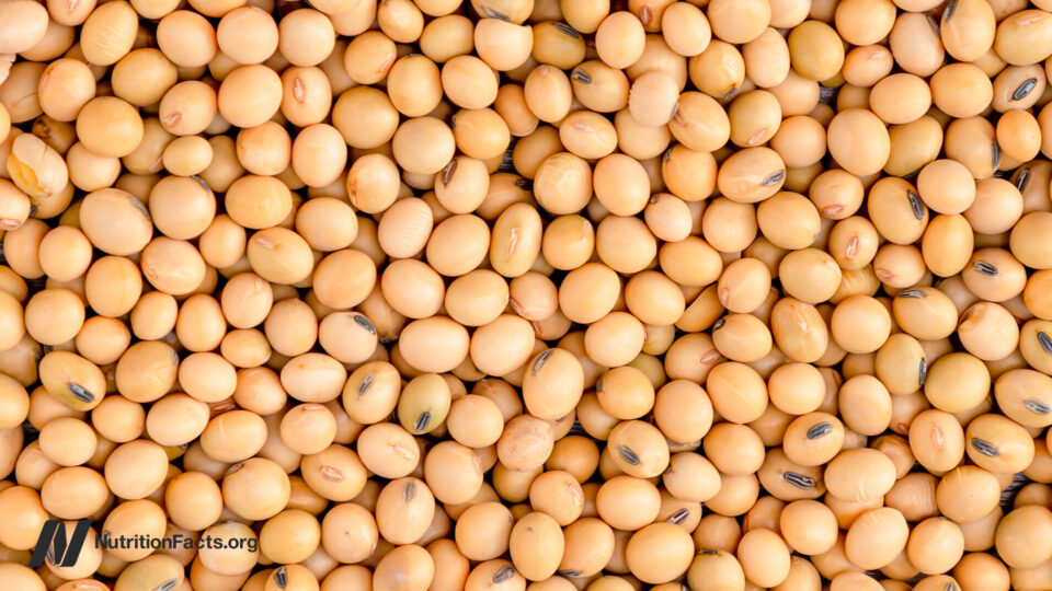 Does Less Protein Increase FGF21 for Longevity?
