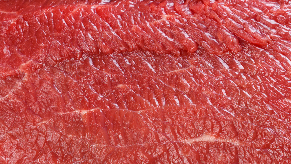 The Link Between Breast Cancer and a Virus in Meat and Dairy