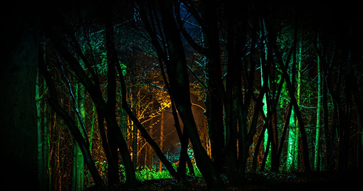 10 people arrested at 300-strong illegal rave in Suffolk forest