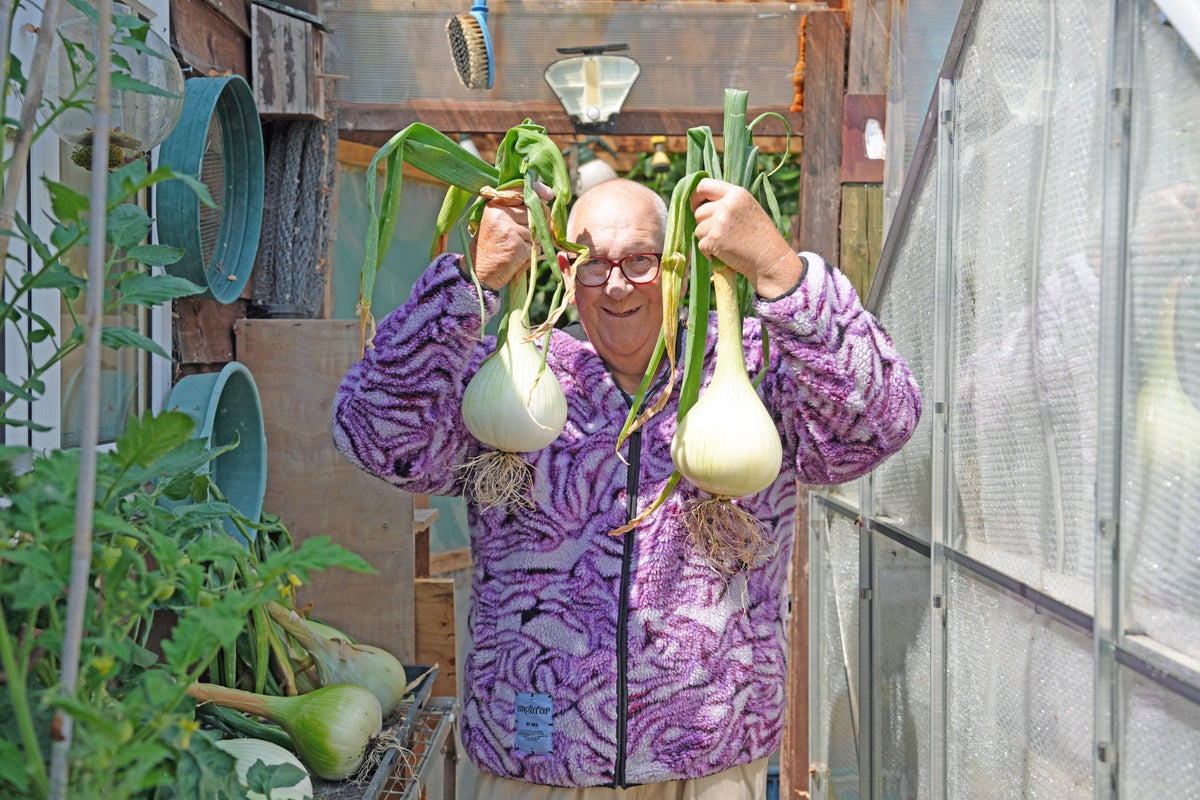 Viral gardening granddad Gerald Stratford reveals the easy vegetables even kids can grow