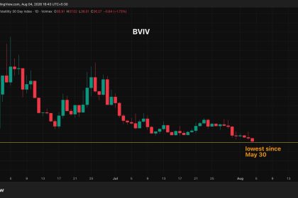 The bitcoin market has plenty of reasons to freak out, yet calm pervades