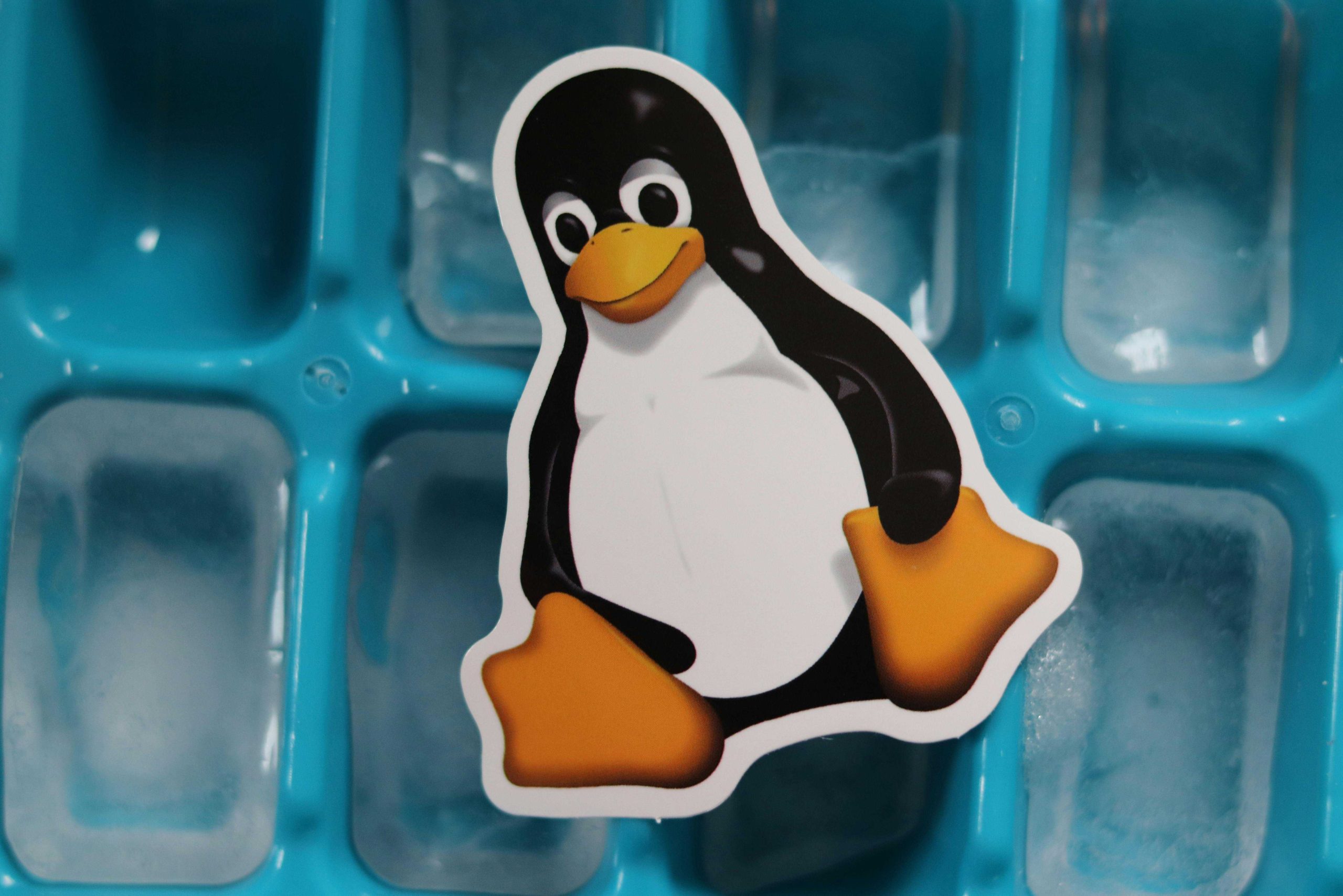 Hold up. Is the year of Linux actually happening?