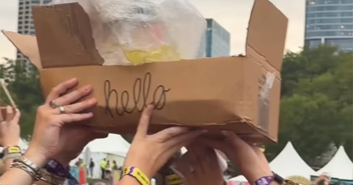 Lollapalooza fans enraged as bag of pee passed over crowd