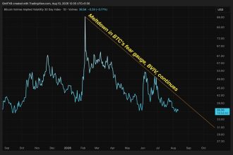 Bitcoin volatility is in meltdown, but downside protection still commands a premium