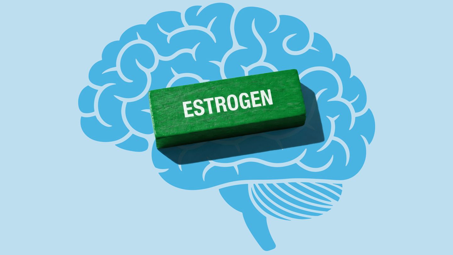Could Estrogen Therapy Help Protect the Brain Against Alzheimer’s?