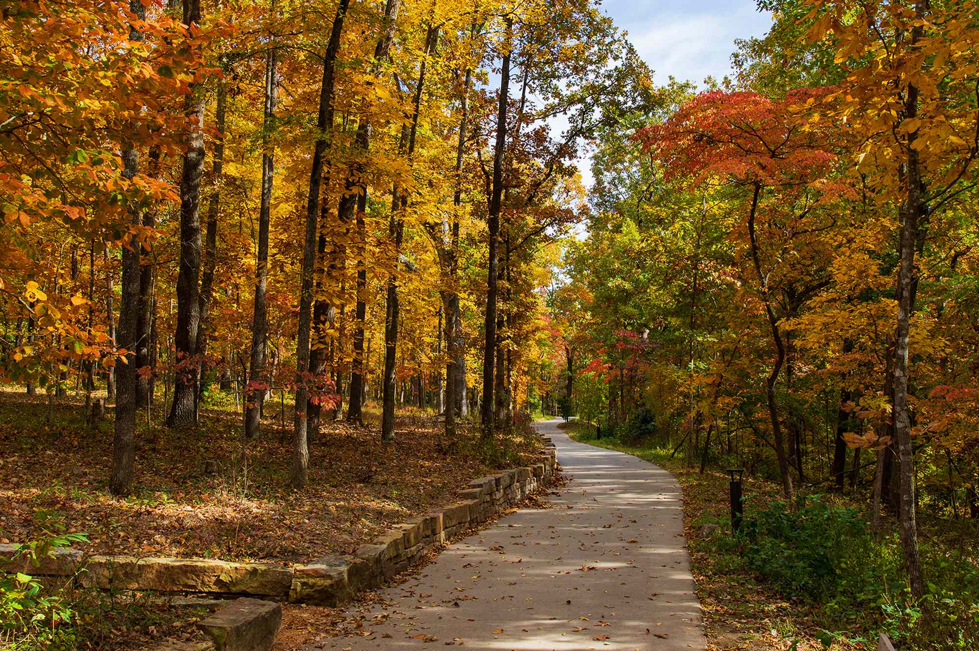 Billed as the ‘Mountain Biking Capital of the World,’ This Arkansas City Offers Access to 400 Miles of Trails