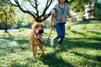 From microbiomes to immunity: a vet-led guide to supporting your pet’s health for the years ahead