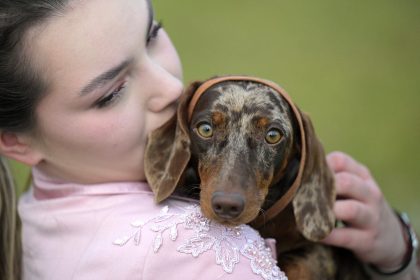 Four science-backed ways to tell if your dog trusts you
