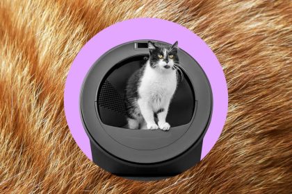 Whisker’s AI-powered litter robot thinks my cats swapped bodies