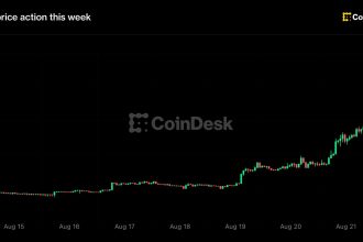 Zcash jumps 48% to over $800 as Grayscale spot ETF push adds to ‘next bitcoin’ buzz