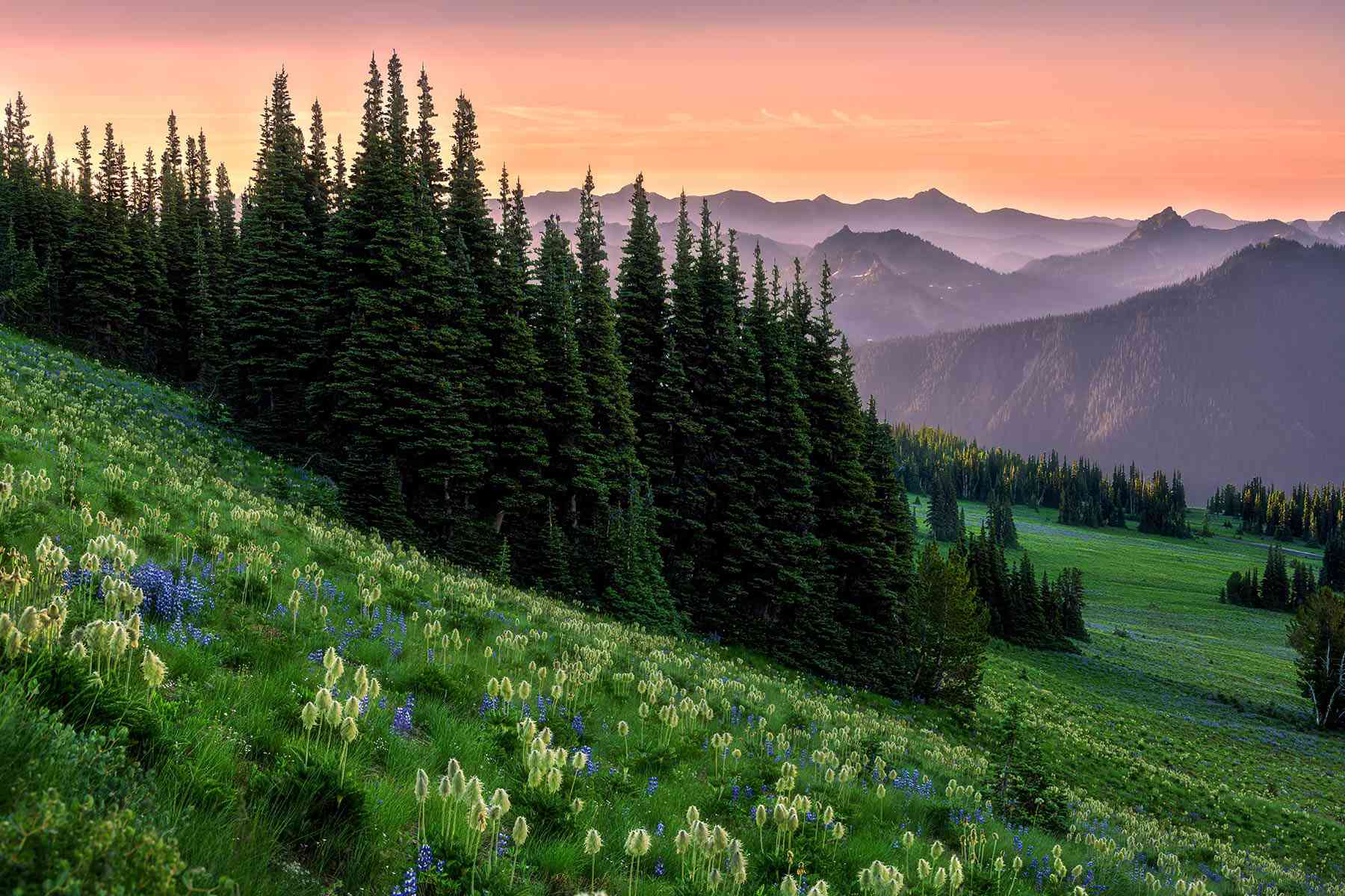 12 Most Beautiful National Parks in the U.S., From the Great Smoky Mountains to Yellowstone