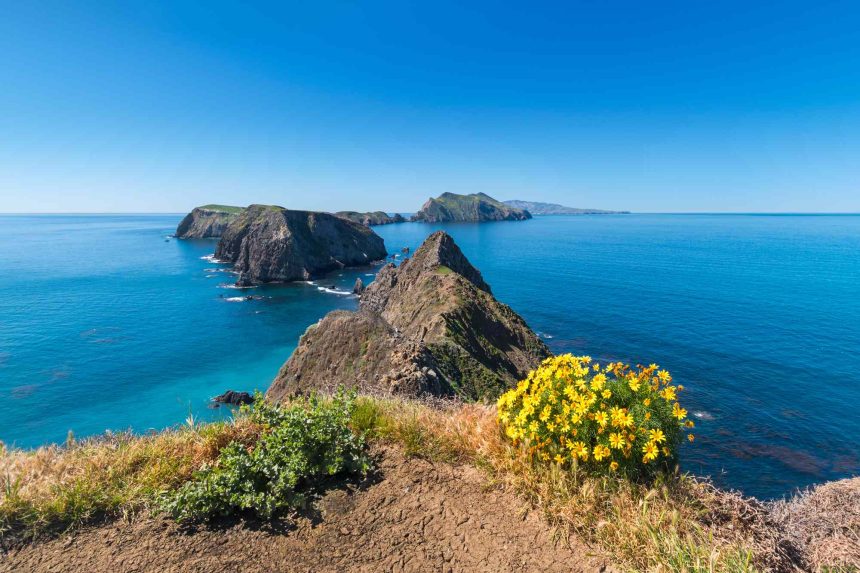 This National Park In California Is Known as the ‘Galapagos of North America’—With 145 Species Found Nowhere Else