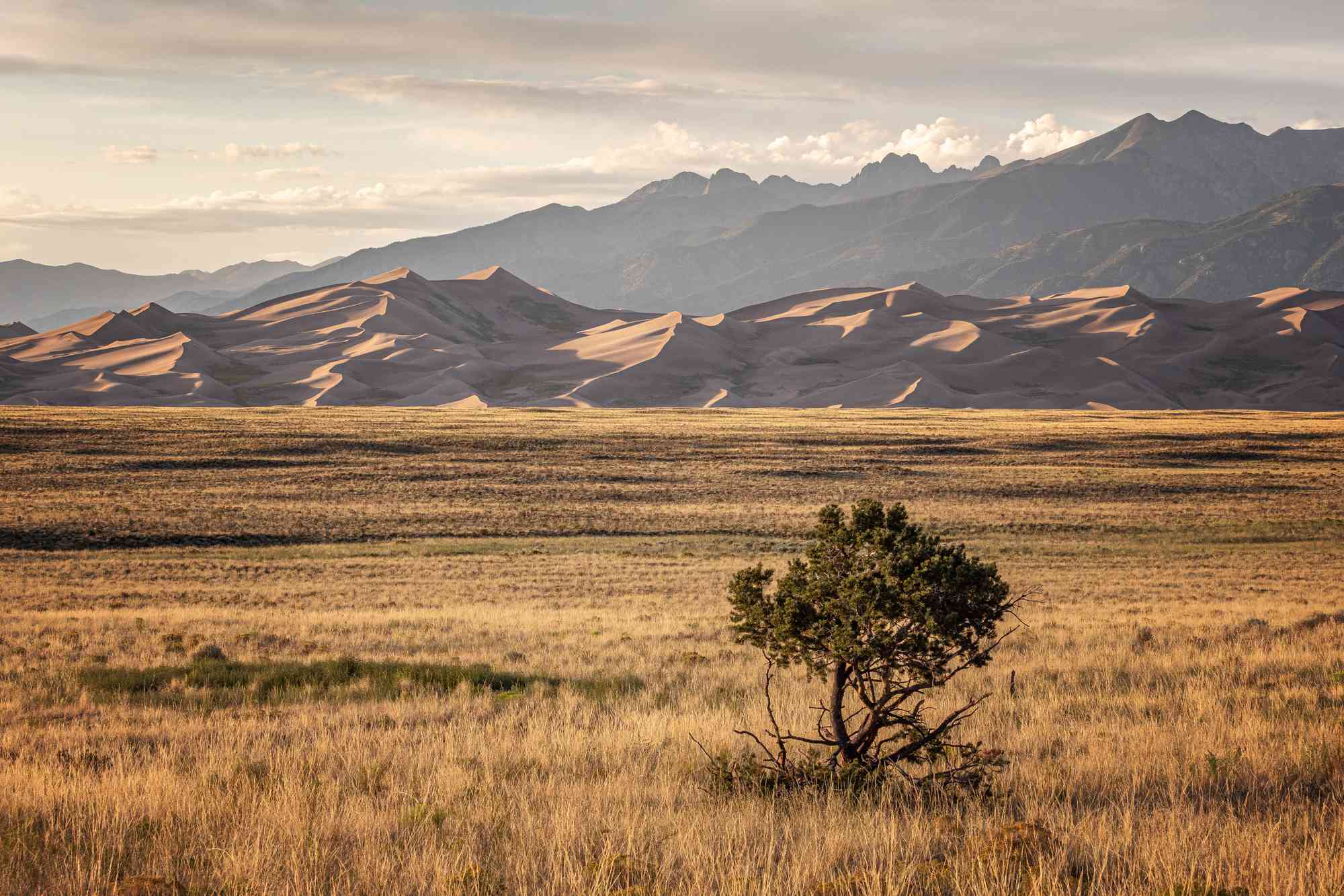 This Colorado National Park Has North America’s Tallest Sand Dunes and Stunning Stargazing