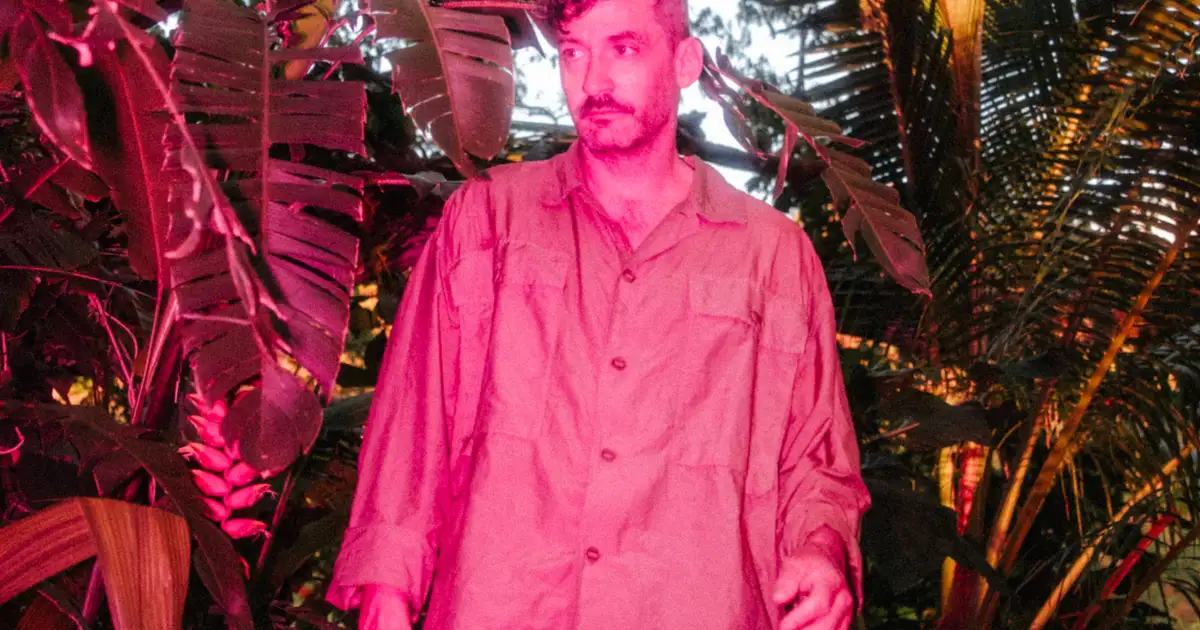 Breaking the cycle: Bonobo’s evolution is entering a new phase
