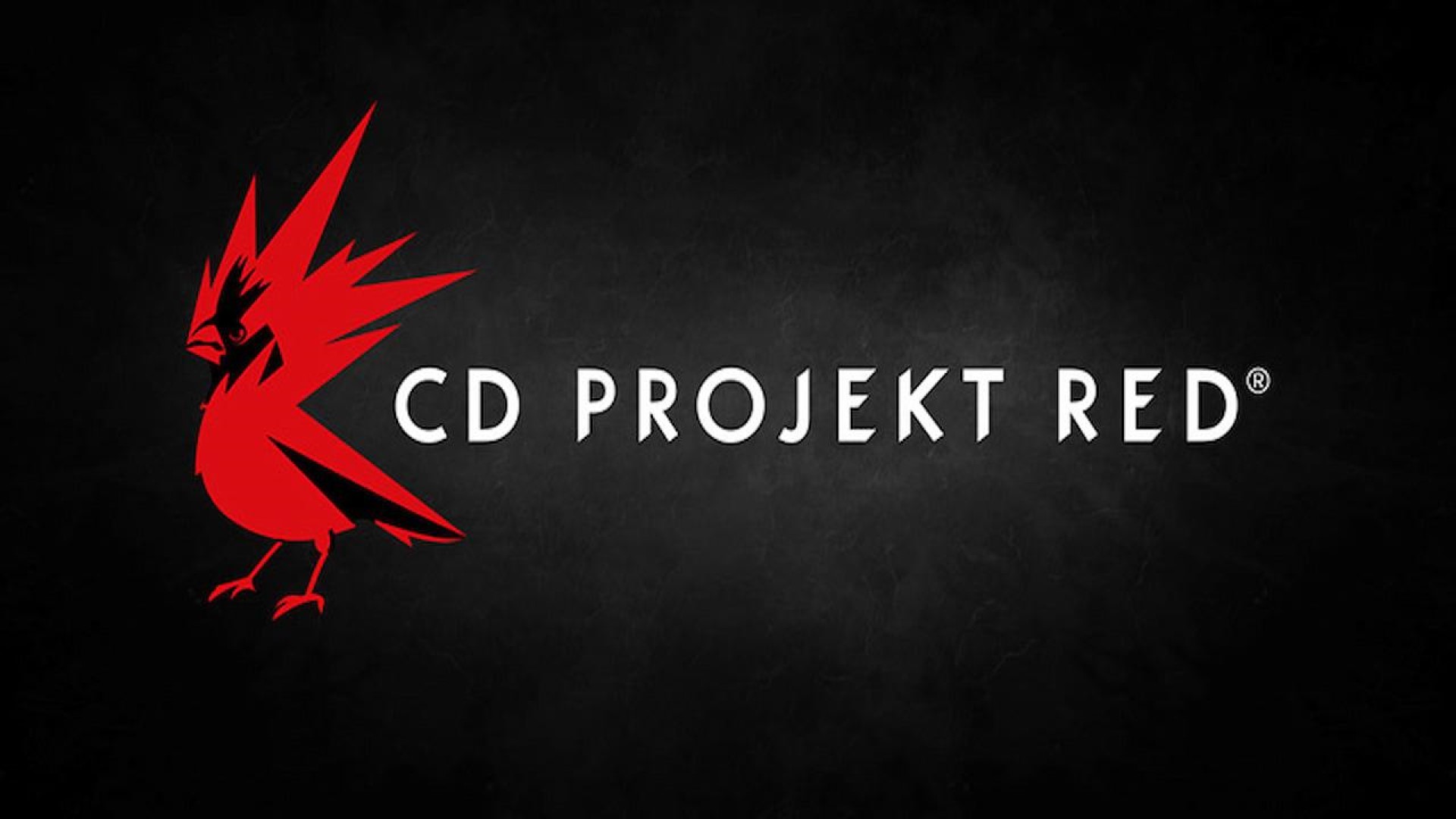 CD Projekt RED’s Hadar is “Still in the Concept Phase,” But Its Team is Expanding Later This Year