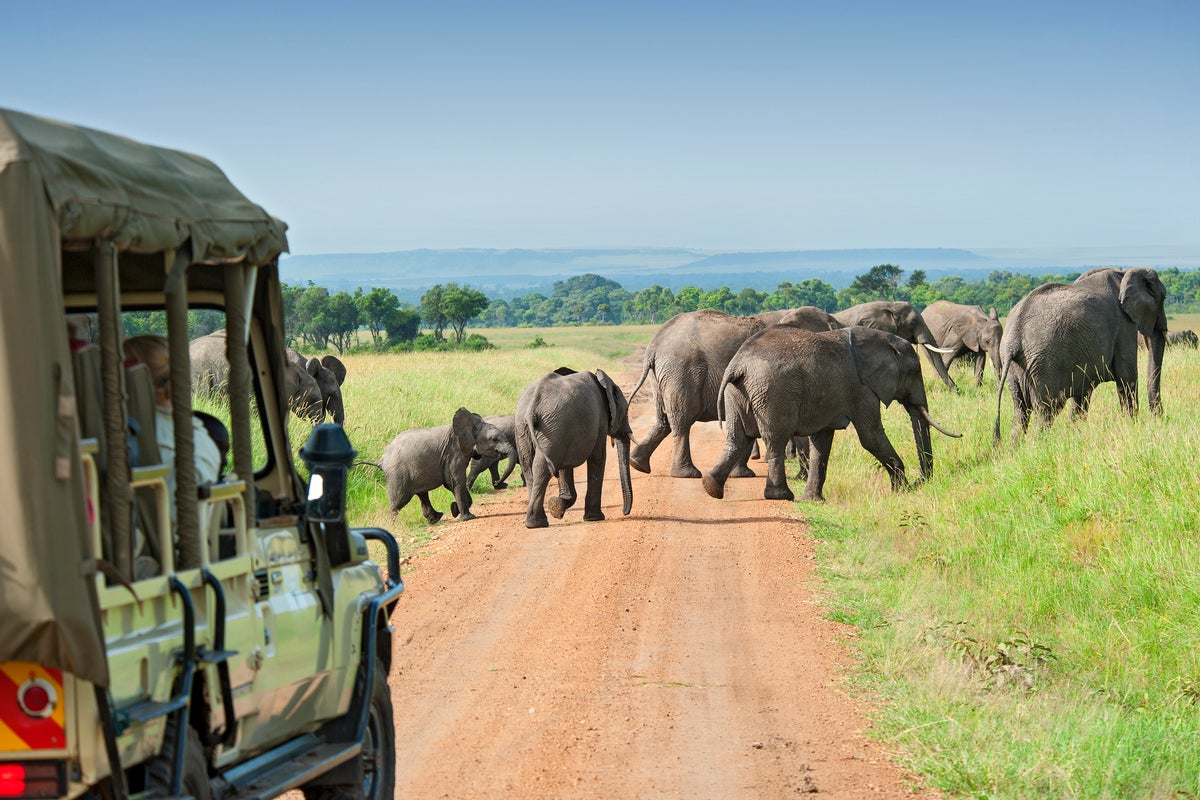 Popular UK travel company suspends all holidays ‘until further notice’