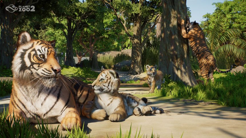 Planet Zoo 2 Drops New Look At Wildlife Reserves In Exciting New Trailer
