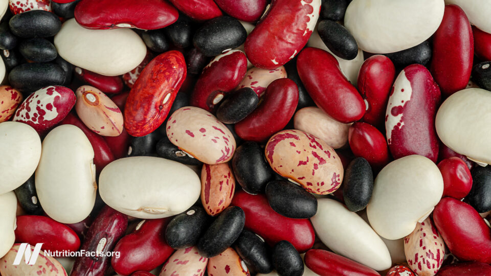 Which Beans Best Block the Spread of Cancer?