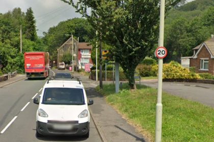 Almost a fifth of drivers say overgrown plants have caused them to speed