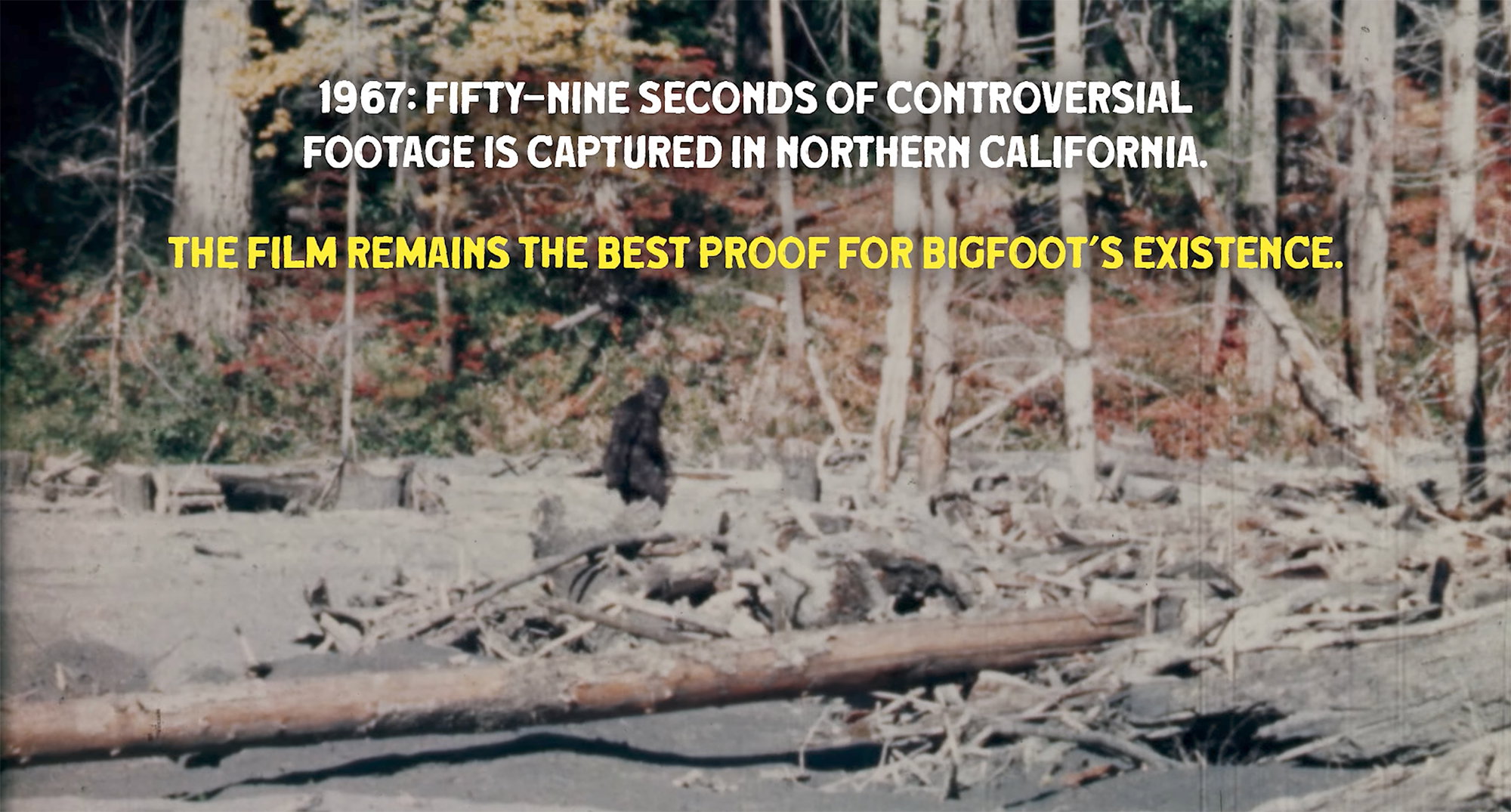 First Look Teaser for Revelatory ‘Capturing Bigfoot’ Documentary Film