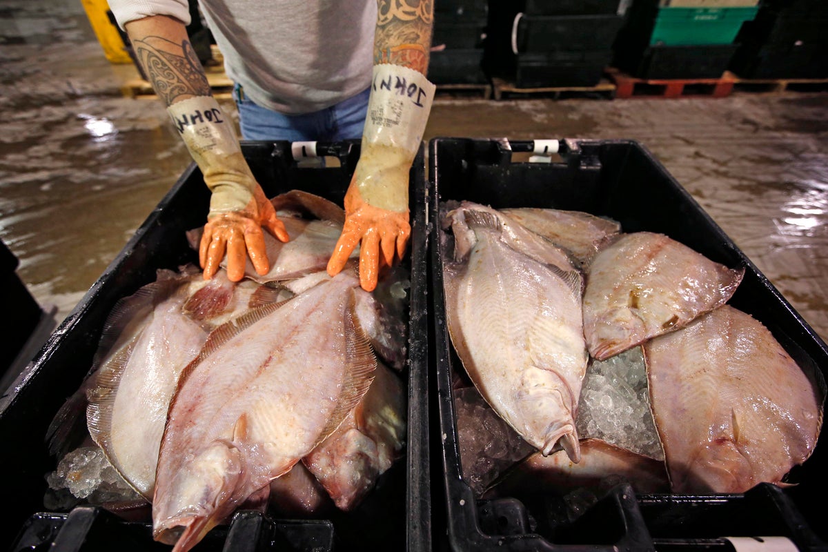 Can flounder become the next social media meal craze? These chefs are hopeful
