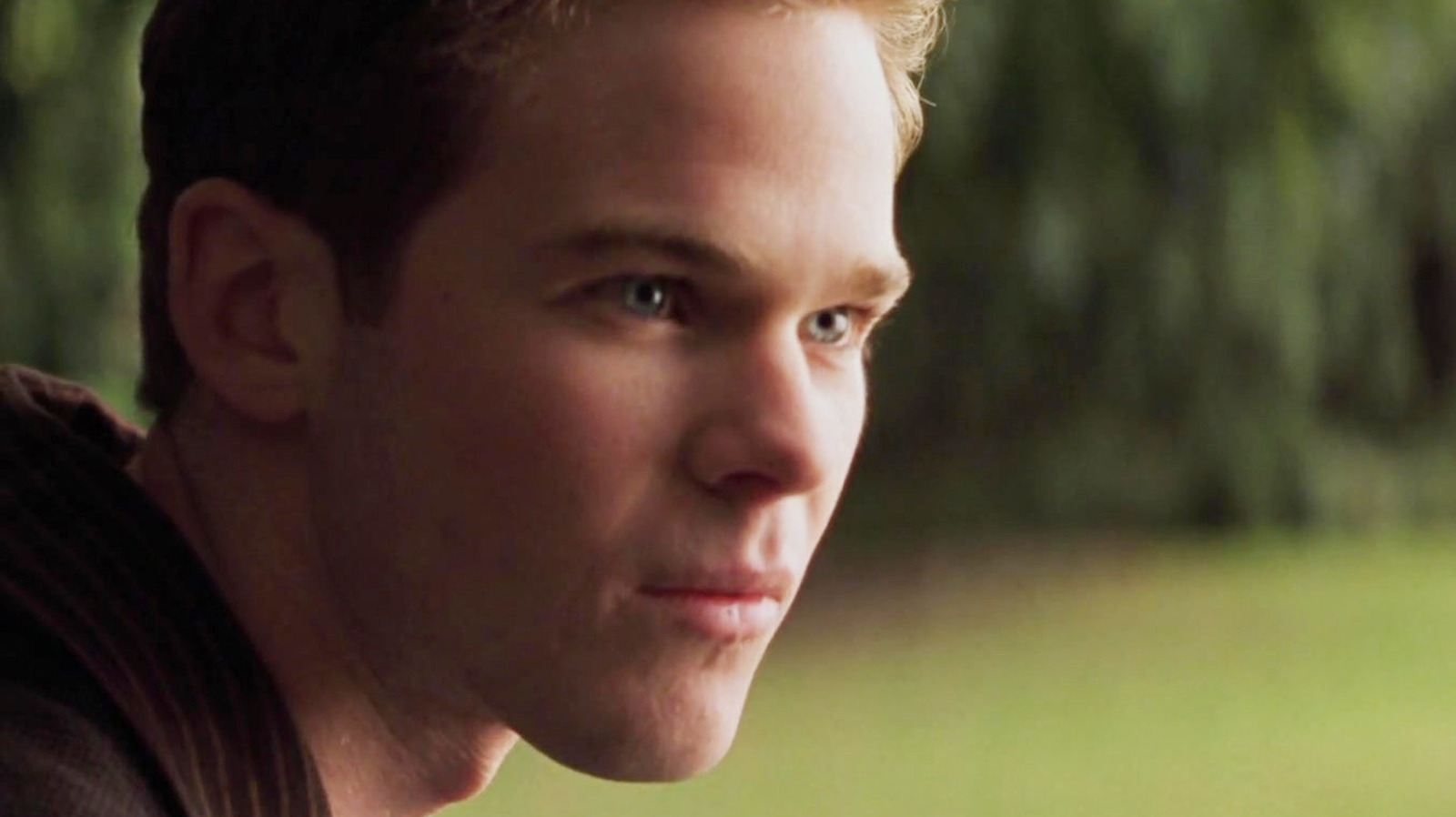 X-Men Actor Shawn Ashmore Was In An Adaptation Of This Beloved Fantasy Book Series